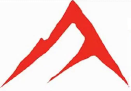 Apex Merchant Group